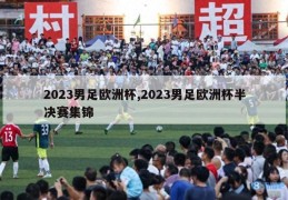 2023男足欧洲杯,2023男足欧洲杯半决赛集锦