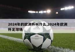 2024年的欧洲杯叫什么,2024年欧洲杯足球场