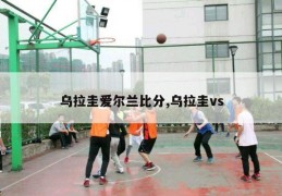 乌拉圭爱尔兰比分,乌拉圭vs