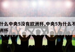 为什么中央5没有欧洲杯,中央5为什么不播欧洲杯