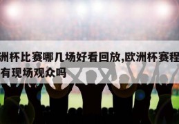 欧洲杯比赛哪几场好看回放,欧洲杯赛程2021有现场观众吗