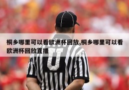 桐乡哪里可以看欧洲杯回放,桐乡哪里可以看欧洲杯回放直播