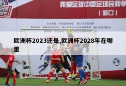 欧洲杯2023还是,欧洲杯2028年在哪里