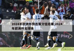 2024年欧洲杯预选赛分组结果,2024年欧洲杯足球场