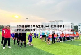 欧洲杯看哪个平台直播,2021欧洲杯哪个平台可以看直播