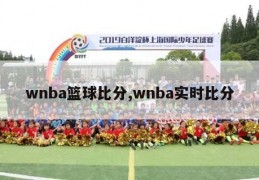 wnba篮球比分,wnba实时比分