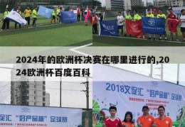 2024年的欧洲杯决赛在哪里进行的,2024欧洲杯百度百科