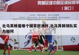 北马其顿是哪个国家欧洲杯,北马其顿球队实力如何