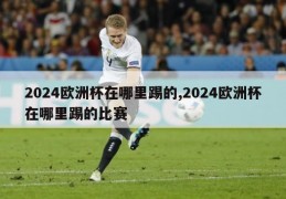 2024欧洲杯在哪里踢的,2024欧洲杯在哪里踢的比赛