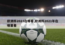 欧洲杯2023在哪看,欧洲杯2021年在哪里看