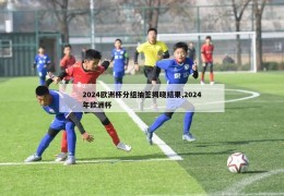 2024欧洲杯分组抽签揭晓结果,2024年欧洲杯