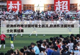 欧洲杯昨晚法国对瑞士战况,欧洲杯法国对瑞士比赛结果