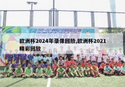 欧洲杯2024年录像回放,欧洲杯2021精彩回放