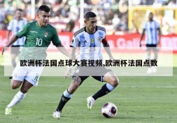 欧洲杯法国点球大赛视频,欧洲杯法国点数